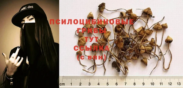 кокаин колумбия Аркадак