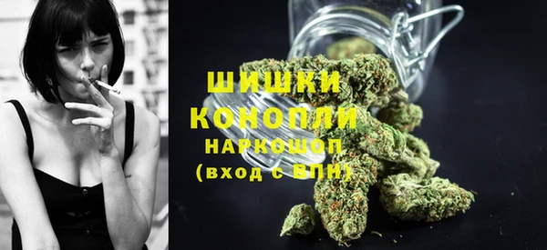 spice Арсеньев