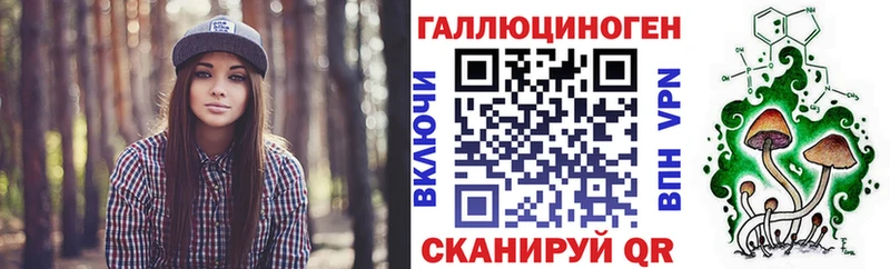 мега   Горнозаводск  Галлюциногенные грибы Psilocybine cubensis 